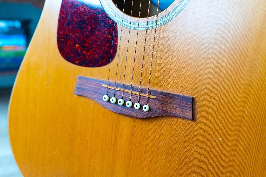 Seagull S6 Original Left | Linkshandige akoestische gitaar, Muziek en Instrumenten, Snaarinstrumenten | Gitaren | Akoestisch, Ophalen
