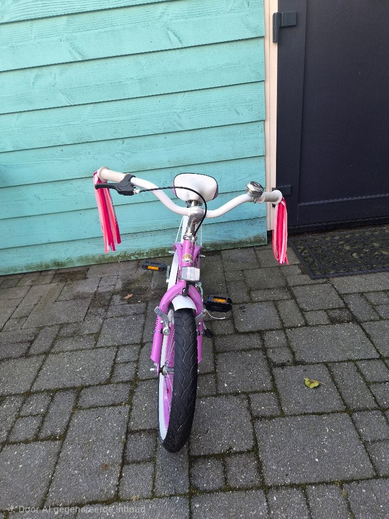 Fiets, Fietsen en Brommers, Ophalen, Terugtraprem, Gebruikt, Onbekend