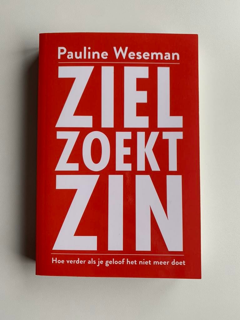 Ziel zoekt zin - Pauline Weseman - Nieuw, Verzenden, Nieuw