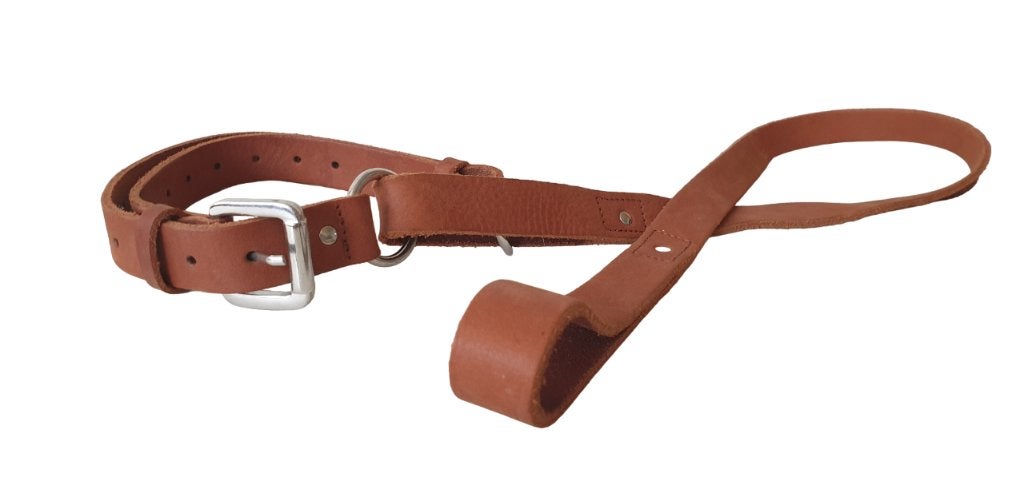 ALOKÉ Sliplijn / 2-in-1 Half-Choke Halsband + Riem Bruin L, Ophalen of Verzenden, Nieuw, Hondenriem
