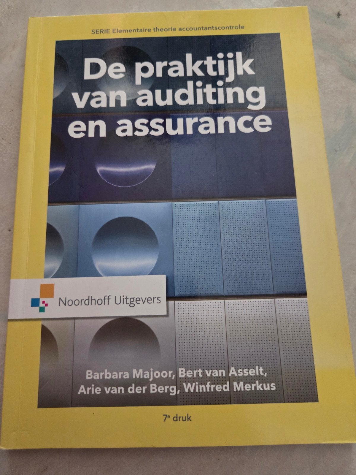 De praktijk van auditing en assurance - 7e druk, Boeken, Rie van der Berg, Winfred Merkus, Zo goed als nieuw, Gamma, HBO