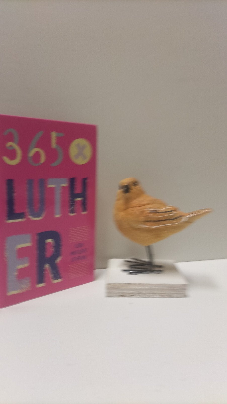 Florijn, Henk; 365x Luther, Ophalen of Verzenden, Gelezen, Christendom | Protestants