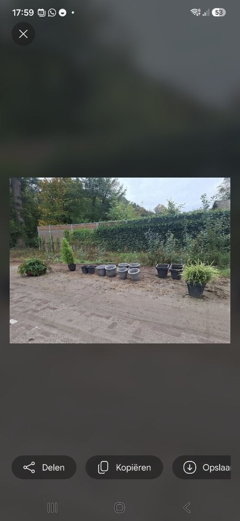 bloempotten / planten, Tuin en Terras, Ophalen, Kunststof, Gebruikt, Minder dan 25 cm