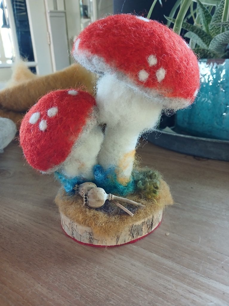 Genaaldvilte paddenstoelen, schapenwol, naaldvilten, Hobby en Vrije tijd, Vilt, Ophalen of Verzenden, Nieuw, Figuurtje(s), Wolvilt