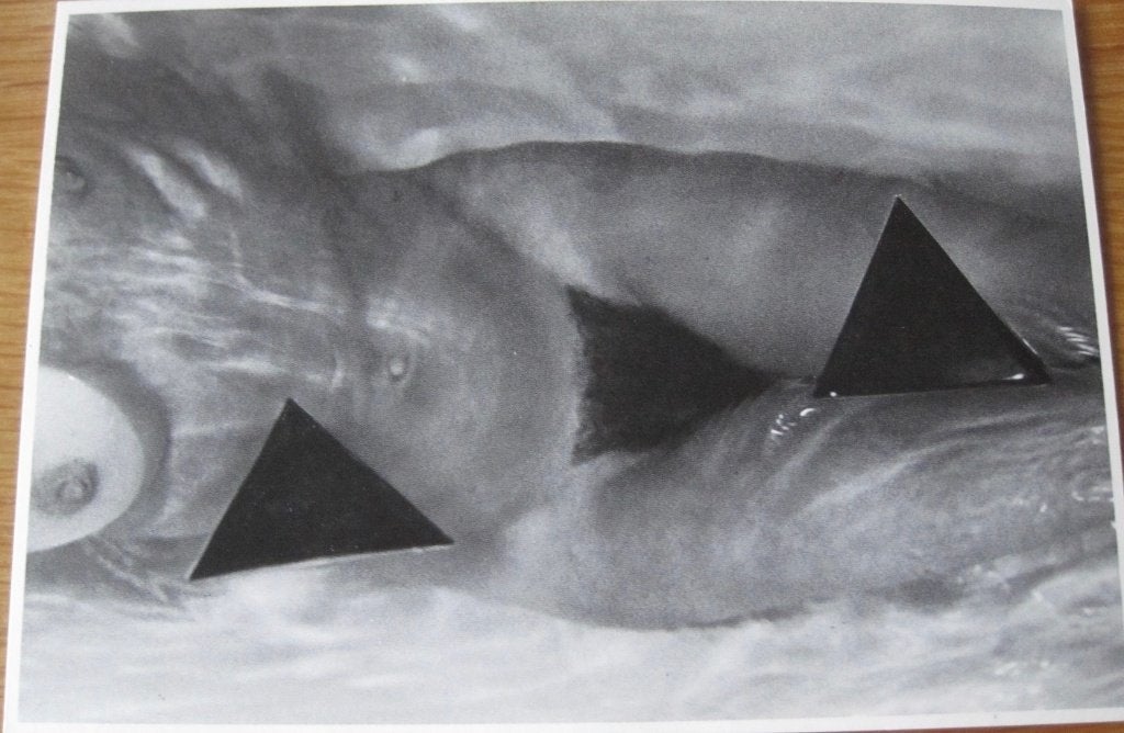 Gert Weigelt - Bermuda triangles - naakt - 1980, Verzenden, 1980 tot heden, Ongelopen, Overige thema's