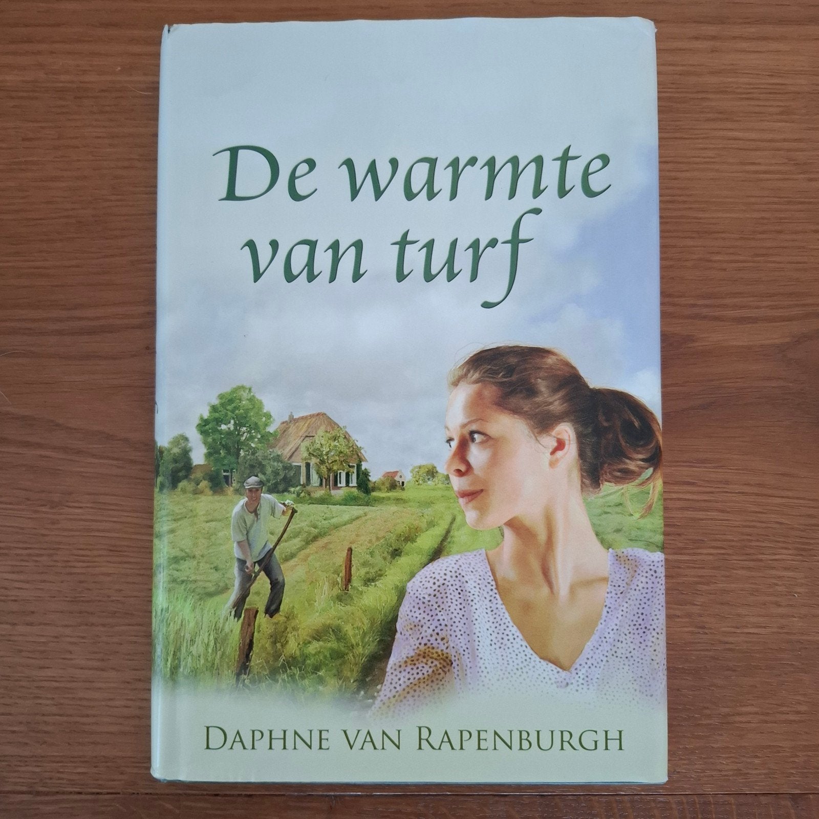 de warmte van turf daphne van rapenburgh, Ophalen of Verzenden, Gelezen, Overijssel