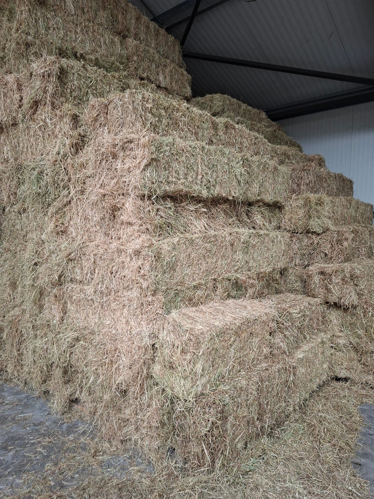 hooi geschikt voor paarden 300 stuks, Ophalen, Vee