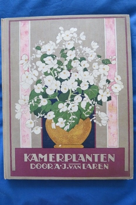 Plaatjesalbum Verkade, Kamerplanten, 1928, Boeken, Ophalen of Verzenden, Gelezen, Plaatjesalbum