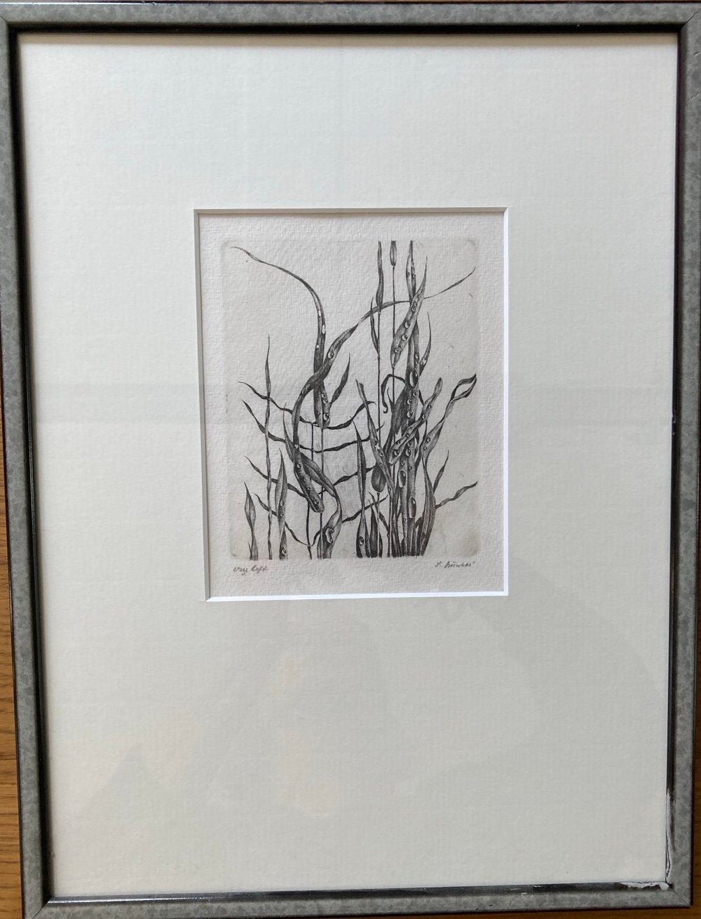 Grasstengels, Antiek en Kunst, Kunst | Etsen en Gravures, Ophalen of Verzenden, Flora en Fauna, Ets, Ingelijst