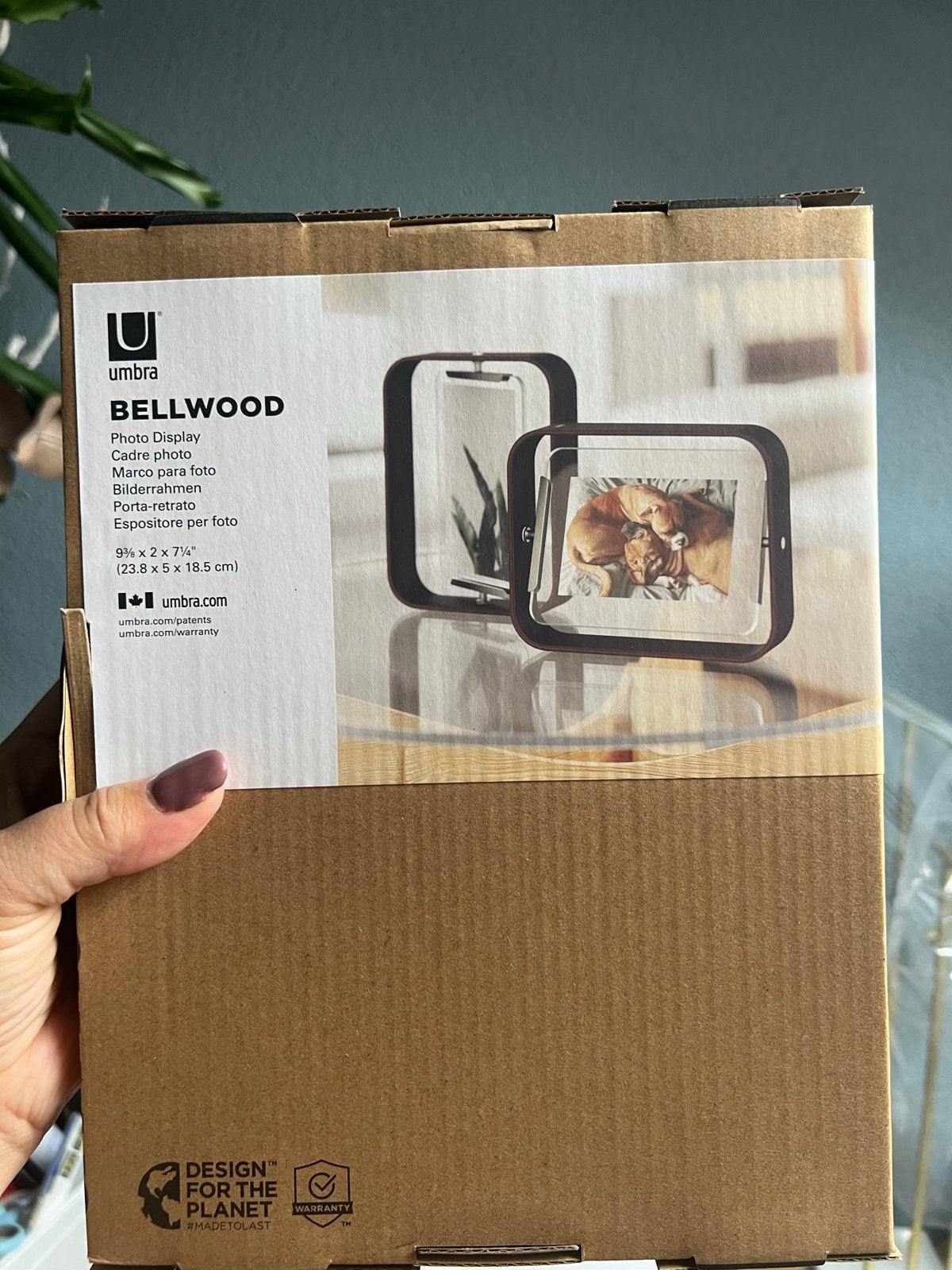 Umbra Bellwood Fotolijst - Nieuw in doos, Bruin, Nieuw, Ophalen of Verzenden, Fotolijst