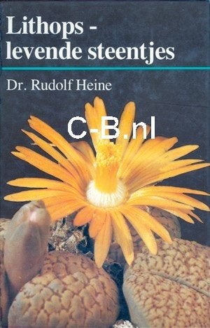 Levende steentjes boeken: Lithops, Conophytum, en Mesems., Vetplant, Verzenden, Halfschaduw, Minder dan 100 cm