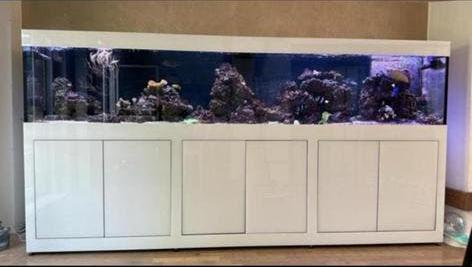 Zoutwater oceaan aquarium, Dieren en Toebehoren, Ophalen, Inclusief vissen, Zo goed als nieuw, Gevuld zeewateraquarium