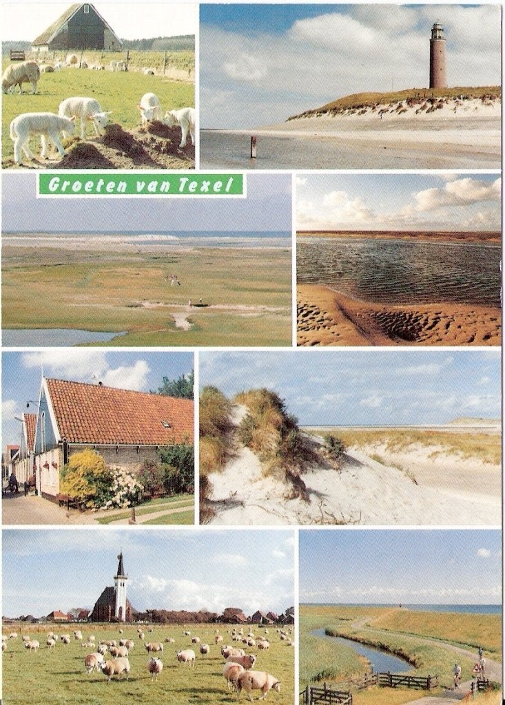 Texel        331, Ophalen of Verzenden, Voor 1920, Waddeneilanden