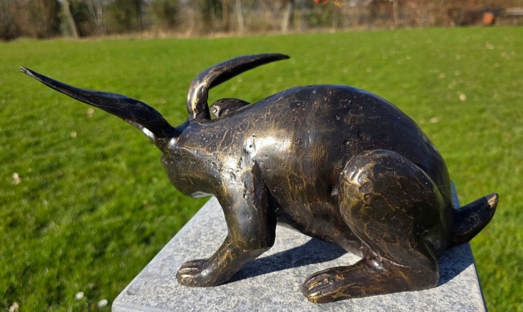 HAAS KRABT AAN OOR / bronzen beeld, Dierenbeeld, Nieuw, Info@huisentuindecoratiemarie.nl, Huis en tuin decoratie marie