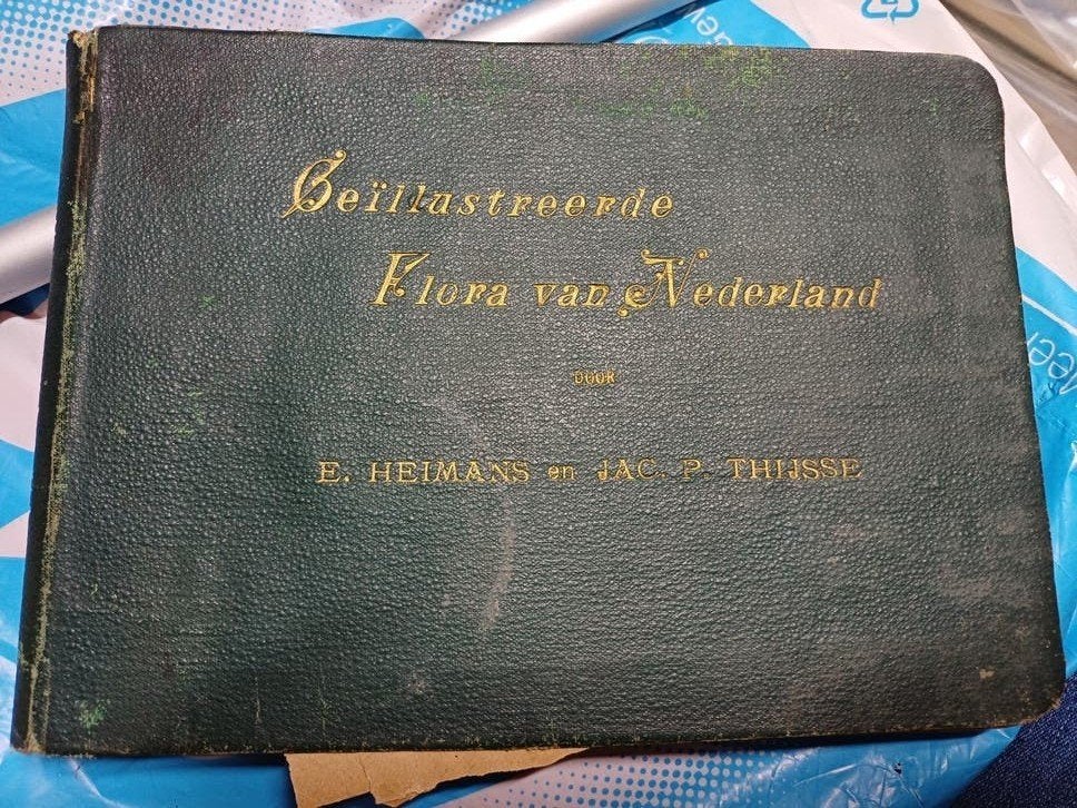 Zeldzame EERSTE DRUK (1899) Geïllustreerde Flora van Nederla, Ophalen