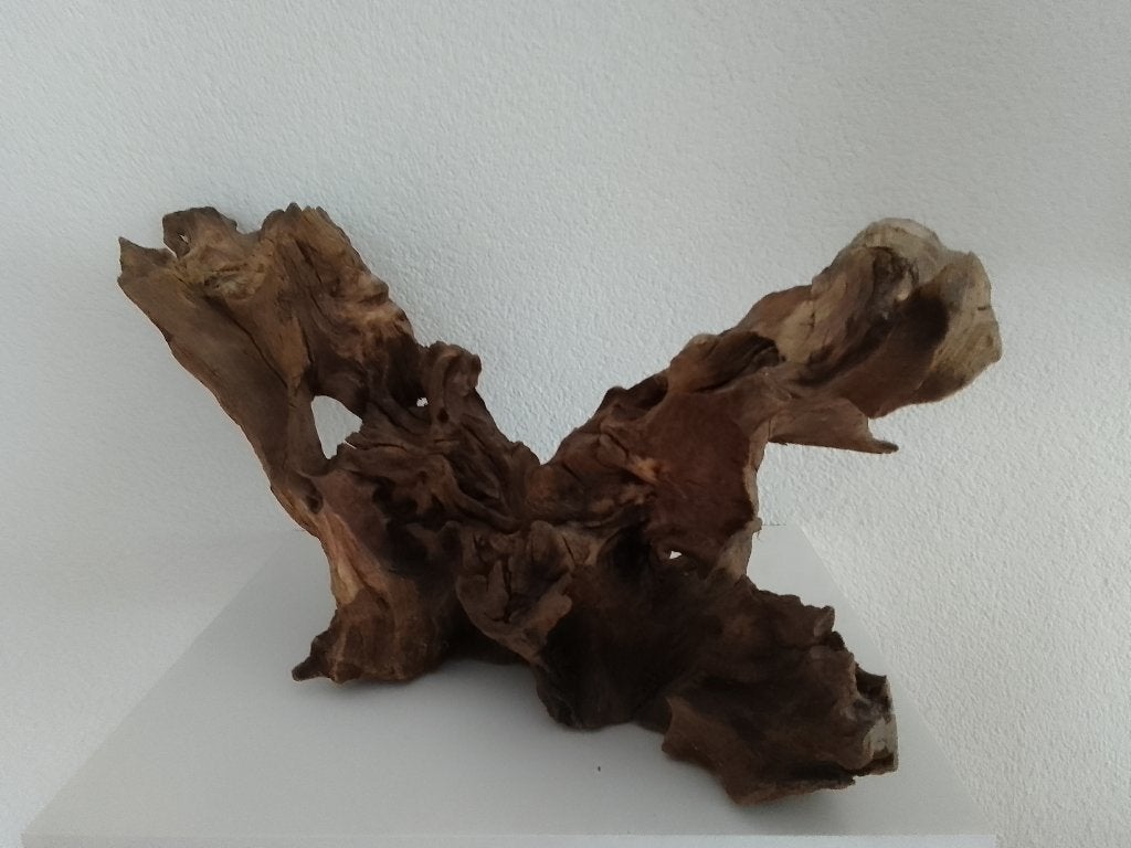 Kienhout, Dieren en Toebehoren, Ophalen, Gebruikt, Plant(en), Steen of Hout