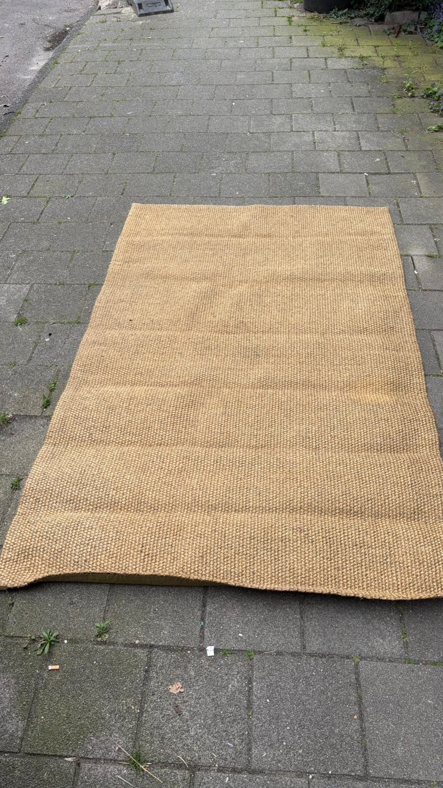 Sisal vloerkleed 150x250cm, Ophalen, Beige, 150 tot 200 cm, Zo goed als nieuw