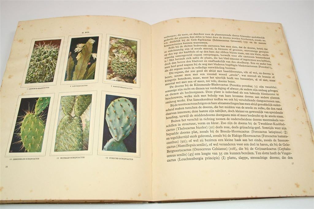 Cactussen — Verkade Album — Compleet [1931], Ophalen of Verzenden, Gelezen