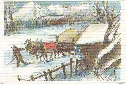Ansichtkaart 	Paarden	trekken kar, Verzenden, 1980 tot heden, Gelopen, Paard