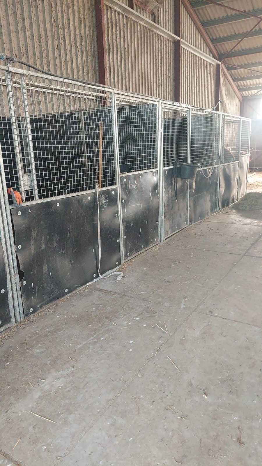 Verplaatsbare Paardenboxen, Dieren en Toebehoren