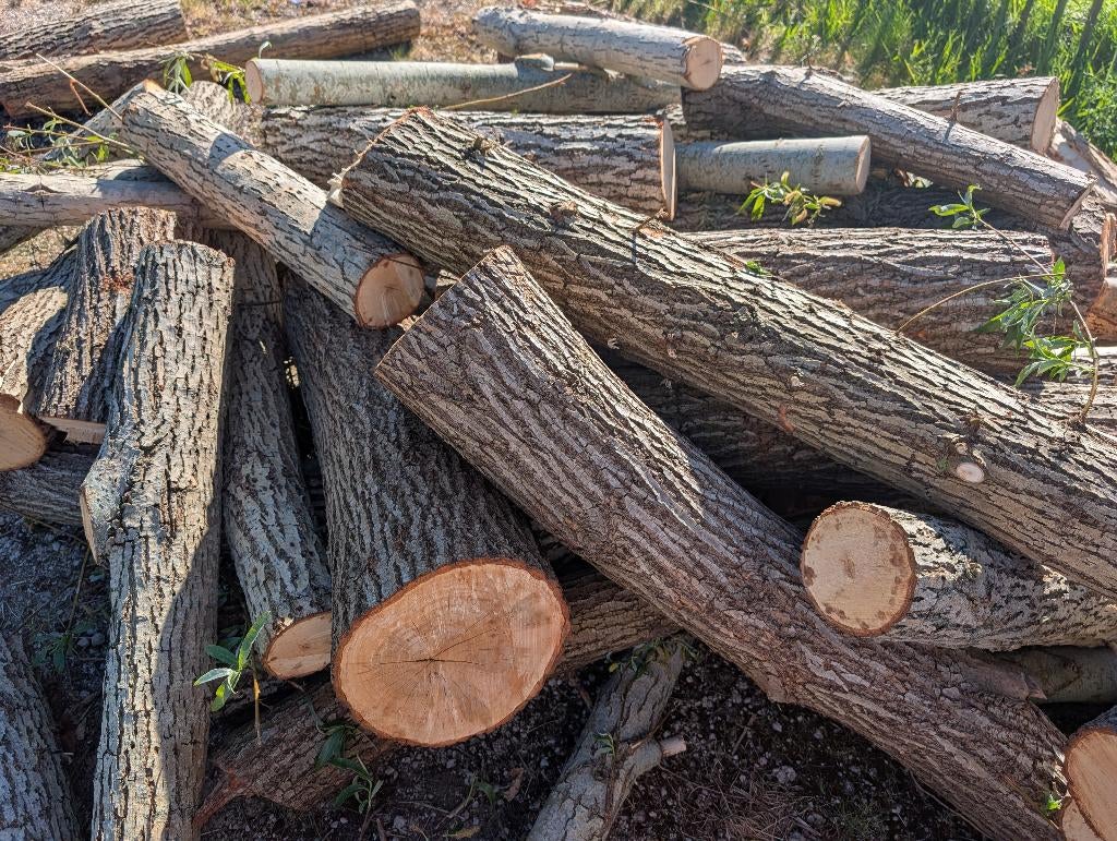 Hout, Doe-het-zelf en Verbouw, Hout en Planken, Ophalen, Overige typen, Nieuw, 50 mm of meer