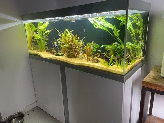 Aquarium 1,3 meter met onderkast, Dieren en Toebehoren, Ophalen, Gebruikt, Leeg aquarium, Overige merken