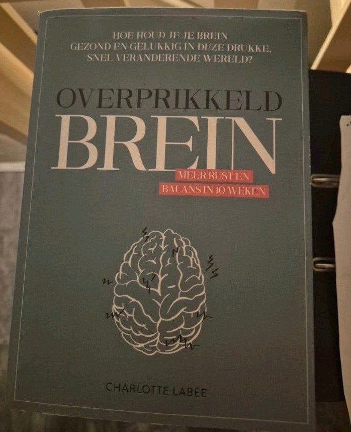 Overprikkeld Brein - Charlotte Labee, Ophalen of Verzenden, Gelezen, Overige onderwerpen, Charlotte Labee