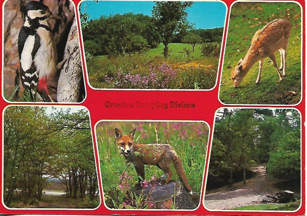 Biddinghuizen- -6-luik., Verzenden, 1960 tot 1980, Gelopen, Flevoland