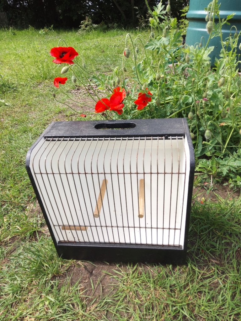Vogel tentoonstellings kooien, Ophalen, Zo goed als nieuw, Hout, Vogelkooi