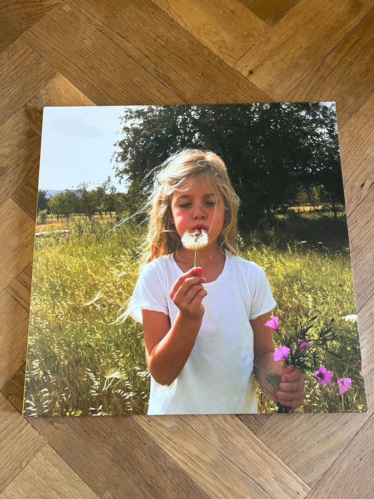 Roxy Dekker  (Roze Vinyl) - Zo goed als nieuw, LP, Pop, Colored vinyl, Ophalen of Verzenden