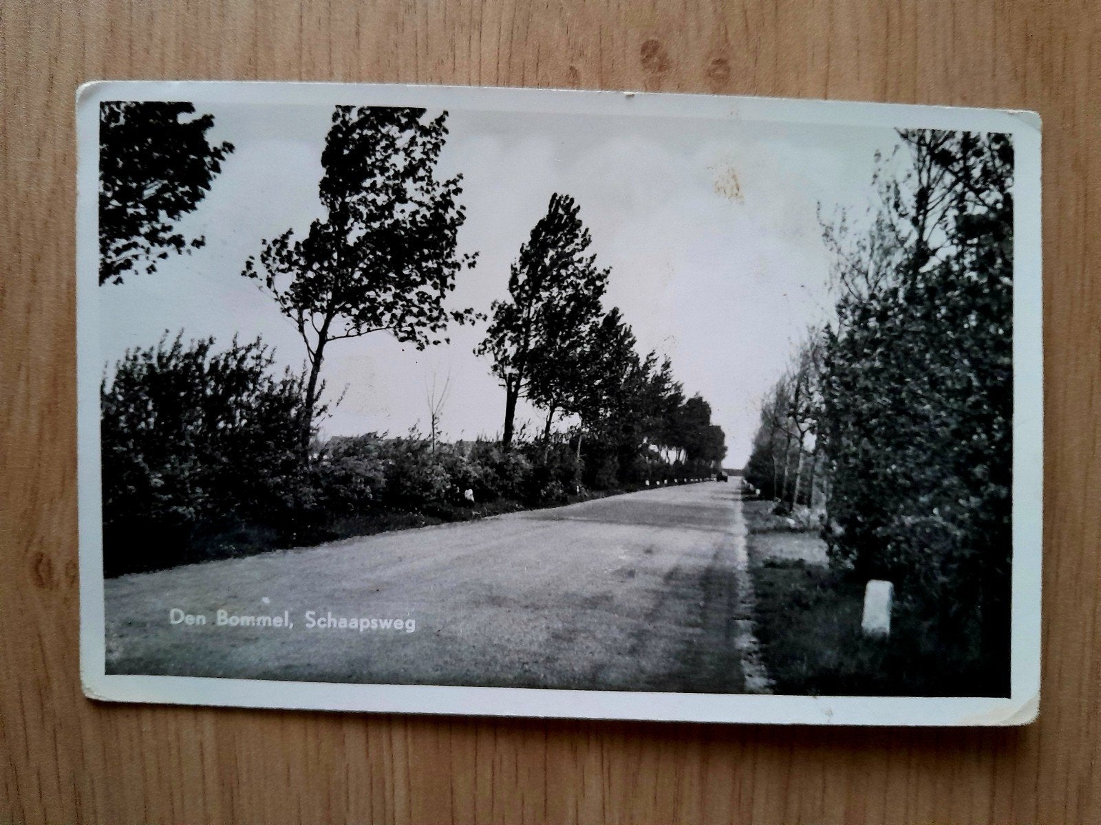 Fotokaart Den Bommel, Ophalen of Verzenden, 1940 tot 1960, Gelopen, Zuid-Holland