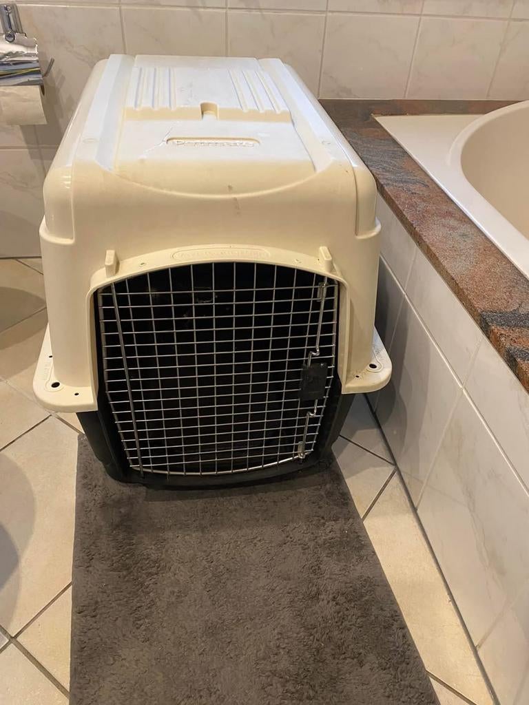 Honden transportbox dieren box, Dieren en Toebehoren, Transportboxen, Zo goed als nieuw, Ophalen