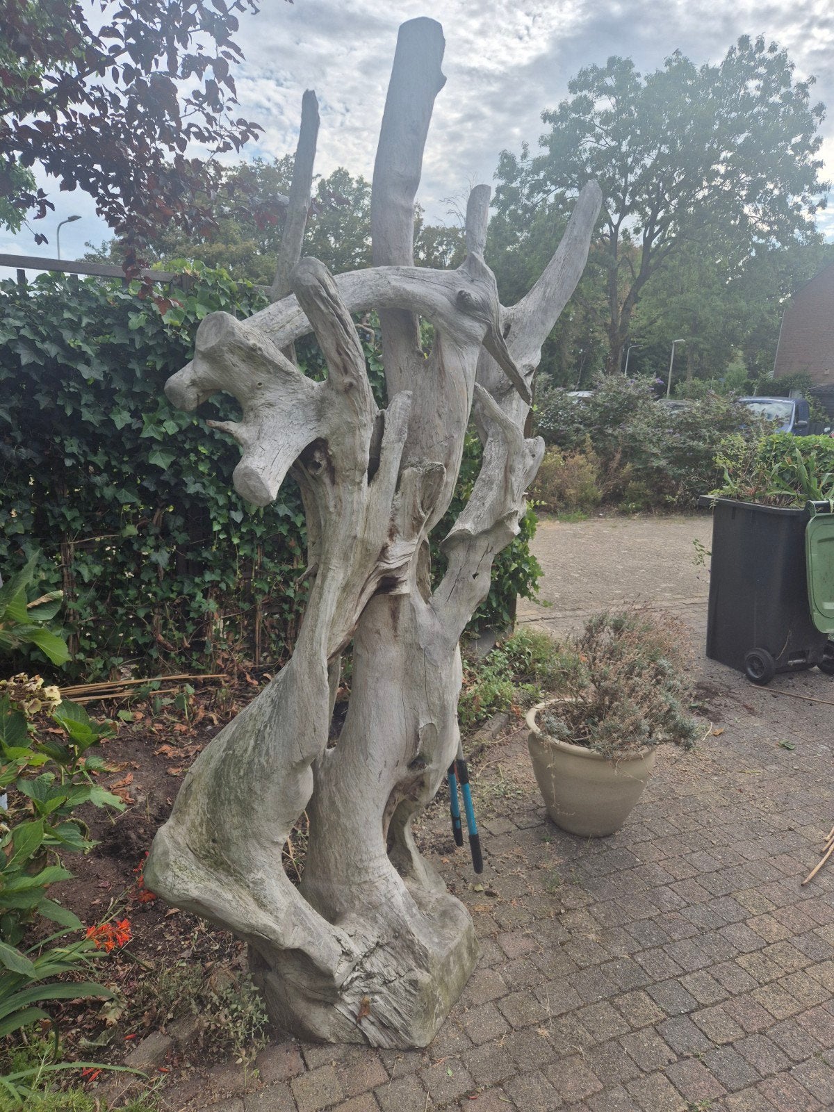 Javaboom, Ophalen