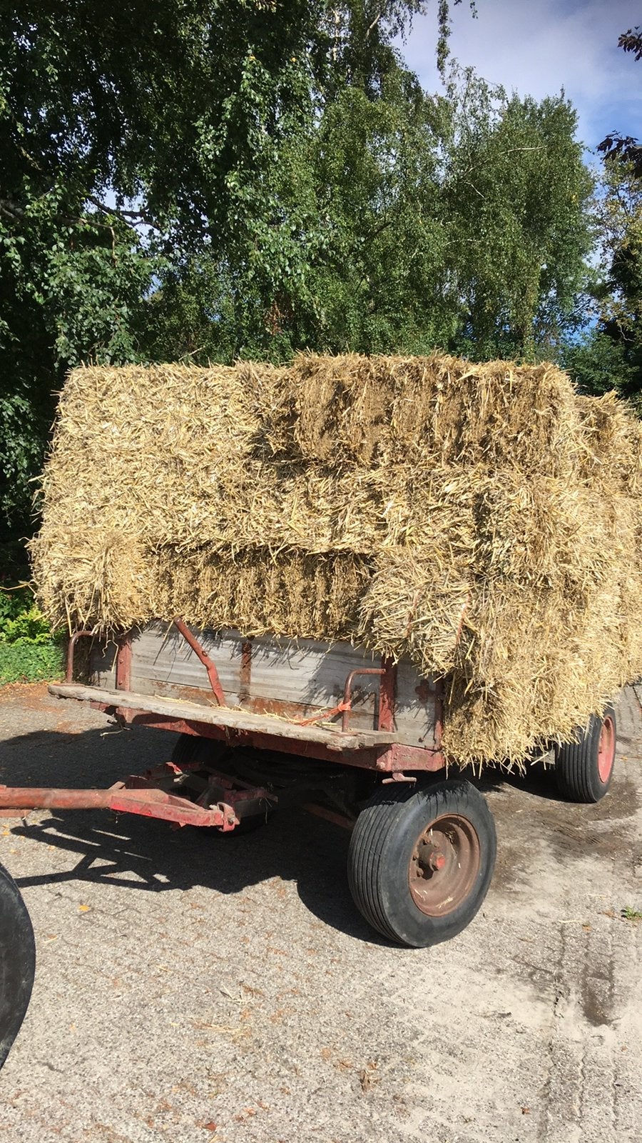 Stro kleine balen /strobalen