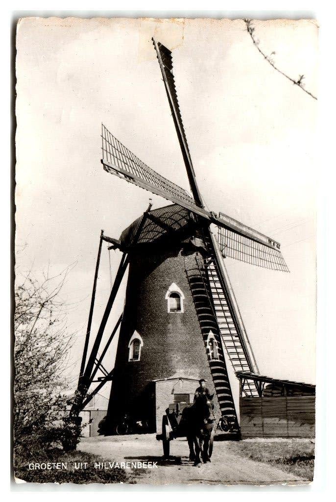 Hilvarenbeek, Groeten uit Hilvarenbeek - Molen, Verzenden, 1960 tot 1980, Ongelopen, Noord-Brabant