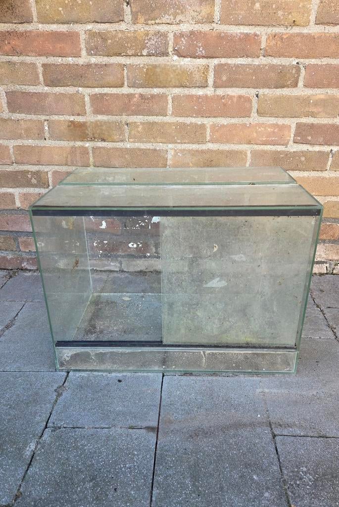 Terrarium - zelf schoonmaken, Dieren en Toebehoren, Reptielen en Amfibieën | Toebehoren, Ophalen, Gebruikt, Terrarium of Paludarium