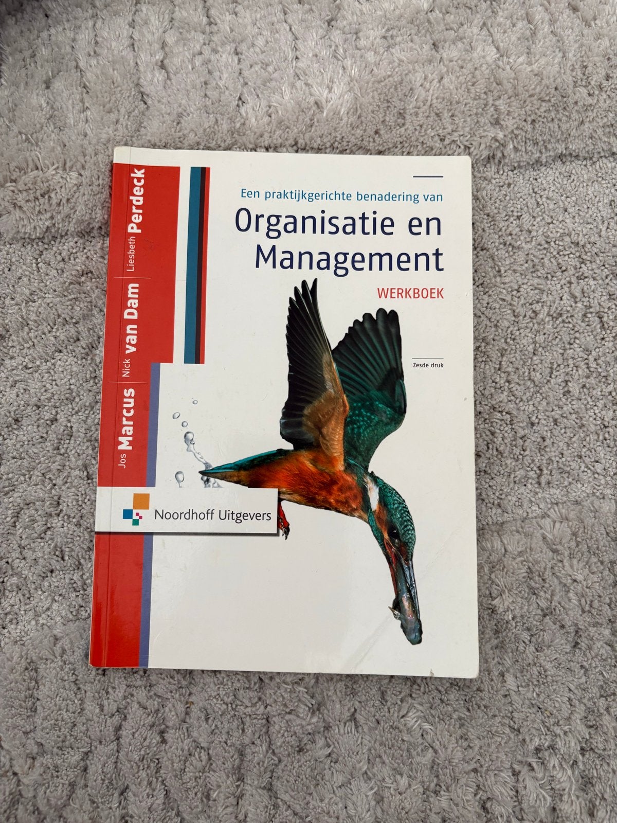 Organisatie en Management Werkboek - Zesde Druk, Boeken, Ophalen of Verzenden, Gamma, Gelezen, HBO