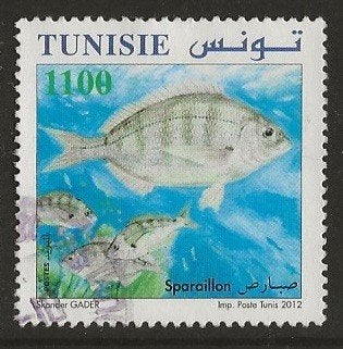 Tunesie 137, vis voor jdvph, Verzenden, Tunesië, Gestempeld