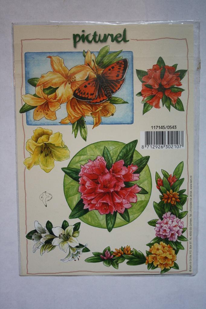 1 st. A5 knipvellen A5 3D picturel 9997, Ophalen of Verzenden, Nieuw, Natuur, Knipvel