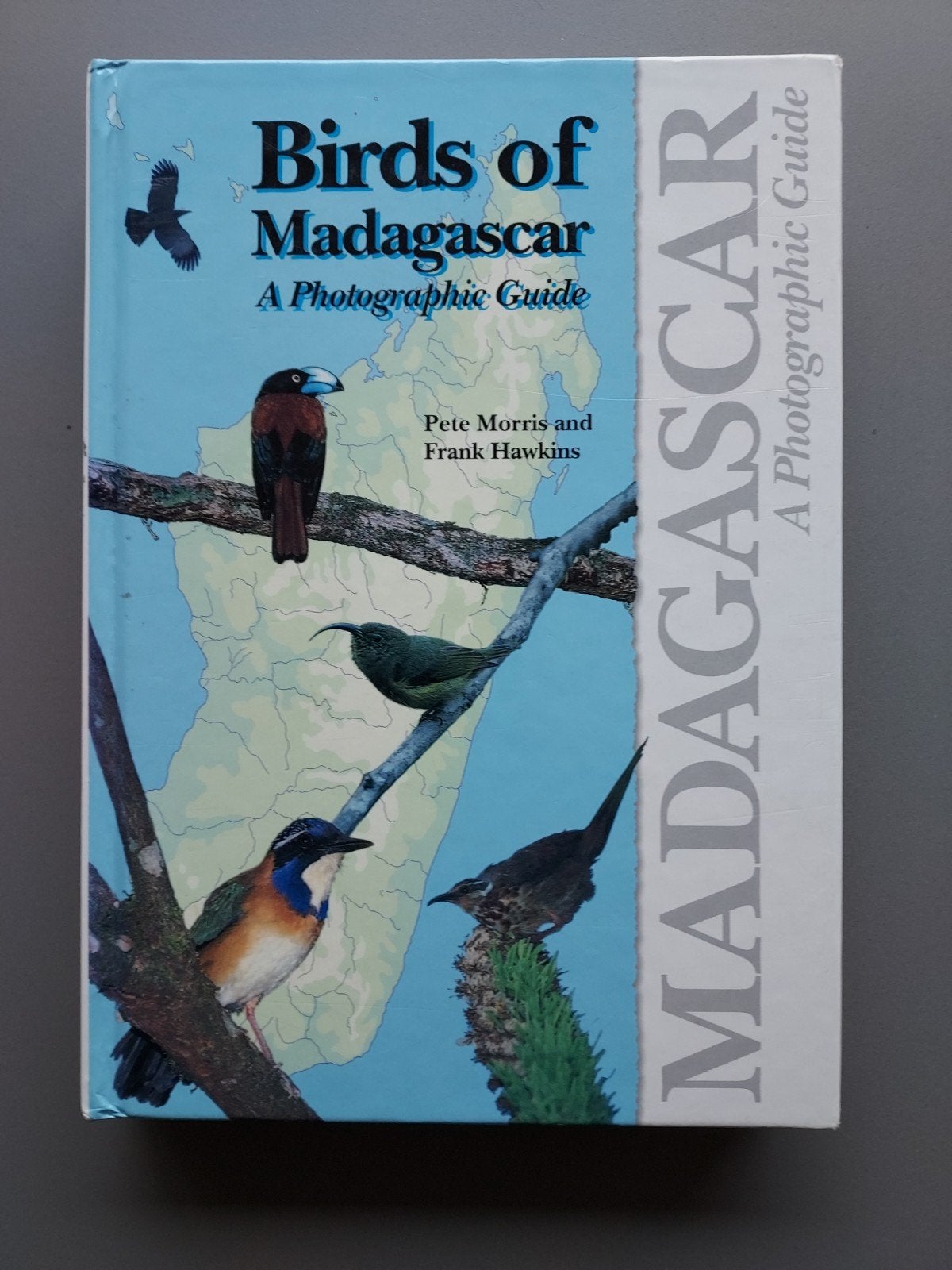 Birds of Madagascar: A Photographic Guide - Vogelgids, Boeken, Ophalen of Verzenden, Zo goed als nieuw, Vogels, Pete Morris en Frank Hawkins