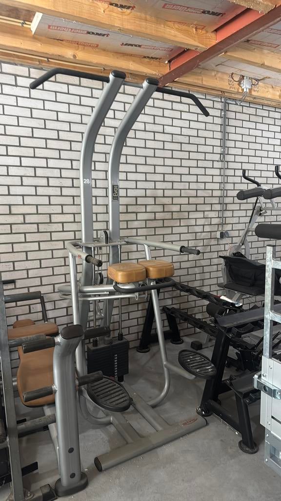 Chin and dip assistend, Sport en Fitness, Ophalen, Zo goed als nieuw, Overige typen