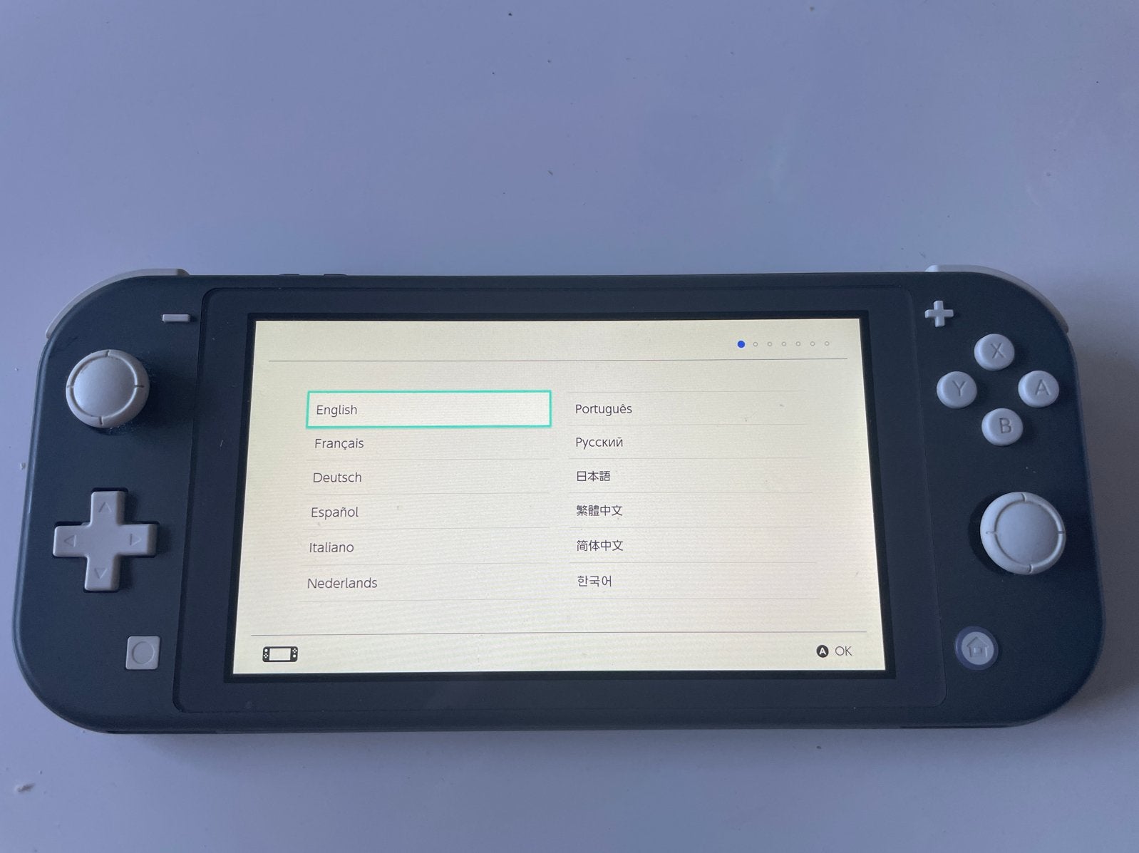 Nintendo Switch Lite Grijs met oplader, Spelcomputers en Games, Spelcomputers | Nintendo Switch Lite, Ophalen of Verzenden, Grijs