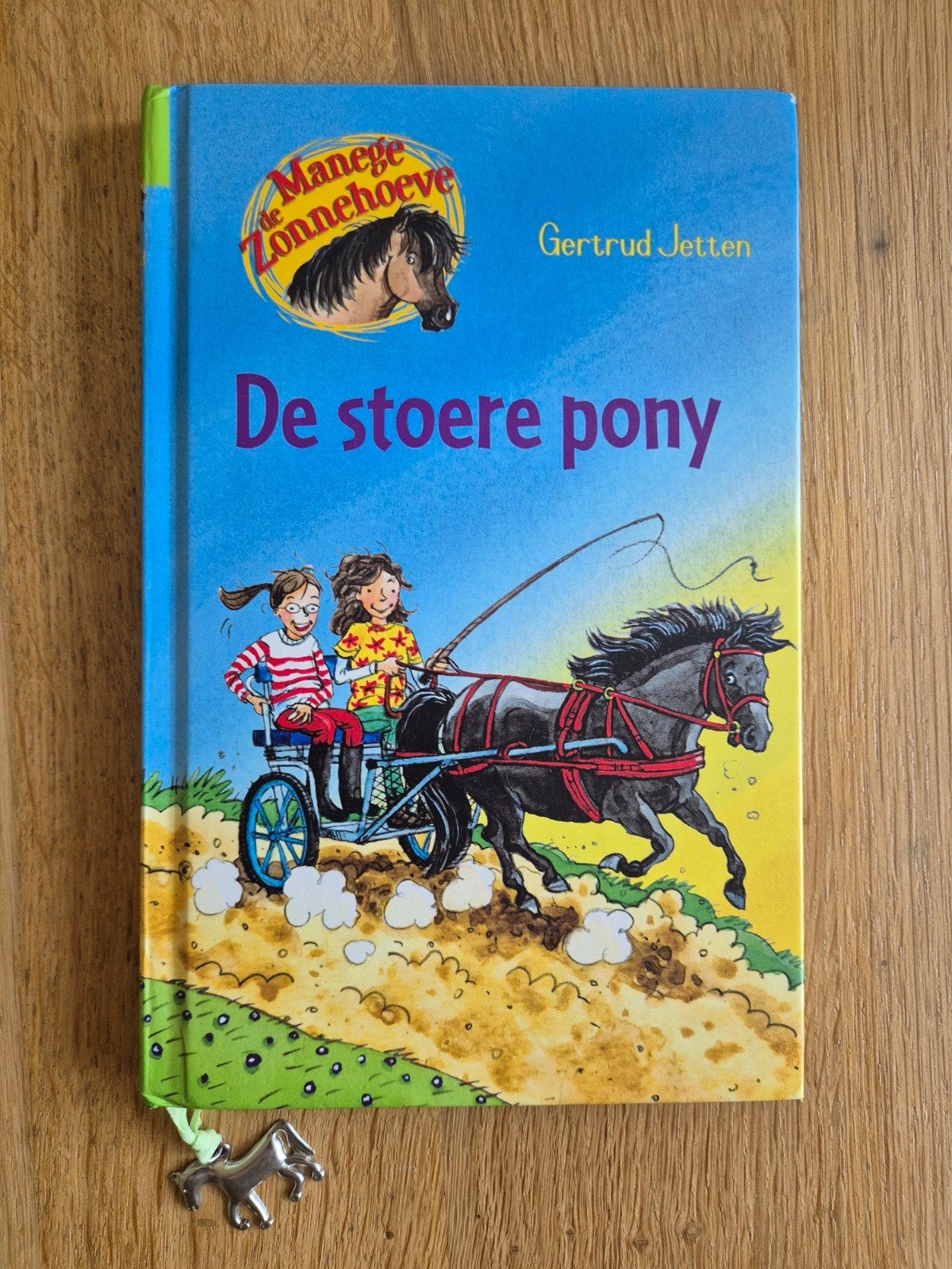 De stoere pony - Manege Zonnehoeve door Gertrud Jetten, Ophalen of Verzenden, Zo goed als nieuw, Gertrud Jetten, Fictie algemeen