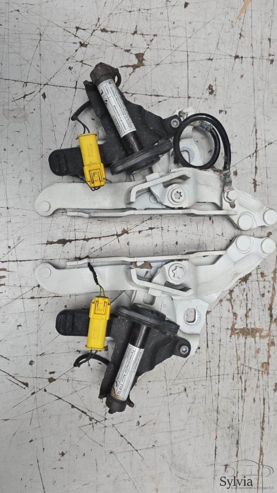 Motorkap scharnier set incl. actuators BMW 1 serie E82 E88, Gebruikt, -, -, Ophalen of Verzenden
