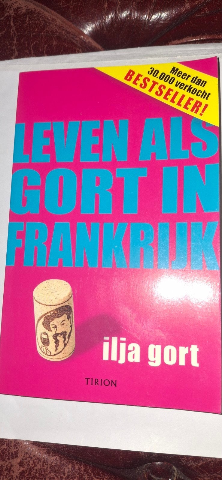 Leven als Gort in Frankrijk - Ilja Gort (Bestseller), Ophalen of Verzenden, Zo goed als nieuw, Ilja Gort, Nederland