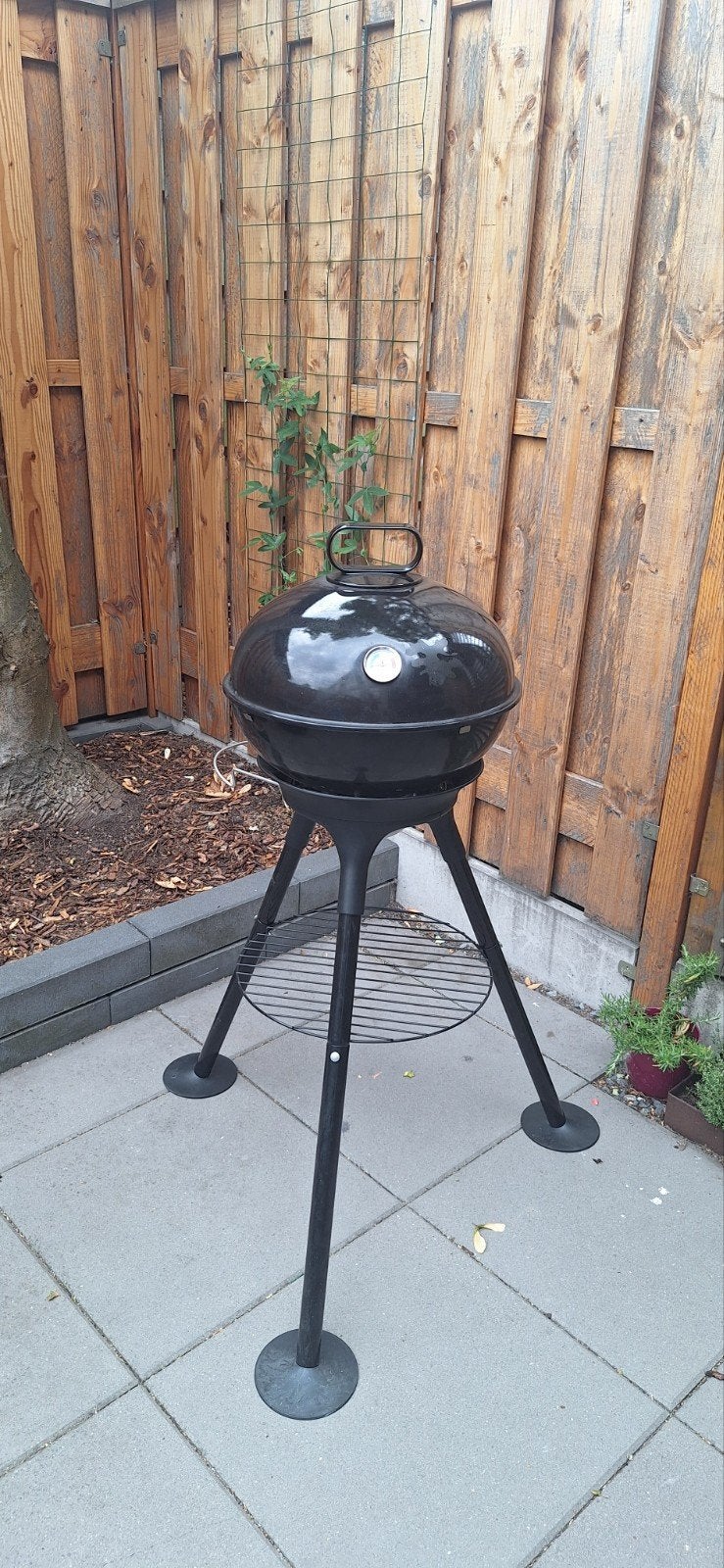 Tefal Aromatic 3-in-1 BBQ, oven met rookbox, Ophalen, Gebruikt, Teal Aromatic