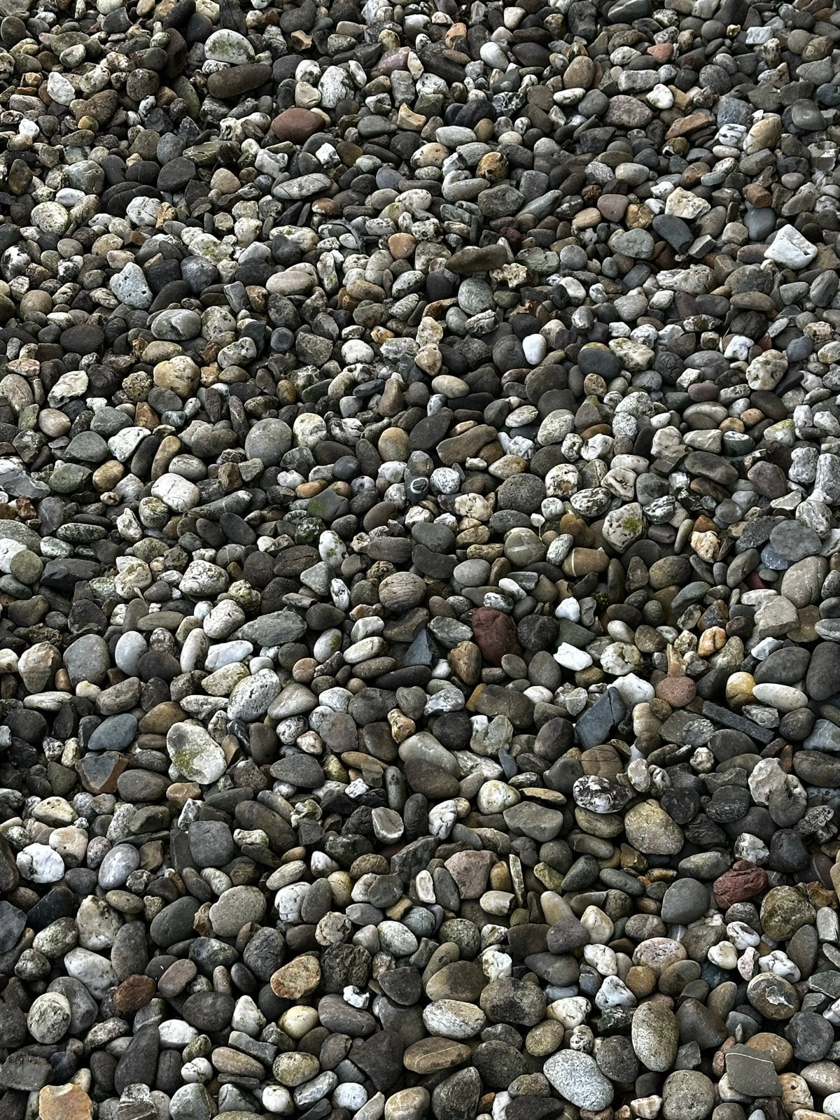 Grind voor tuin of dak, Tuin en Terras, Ophalen, Gebruikt, Grijs, Grind