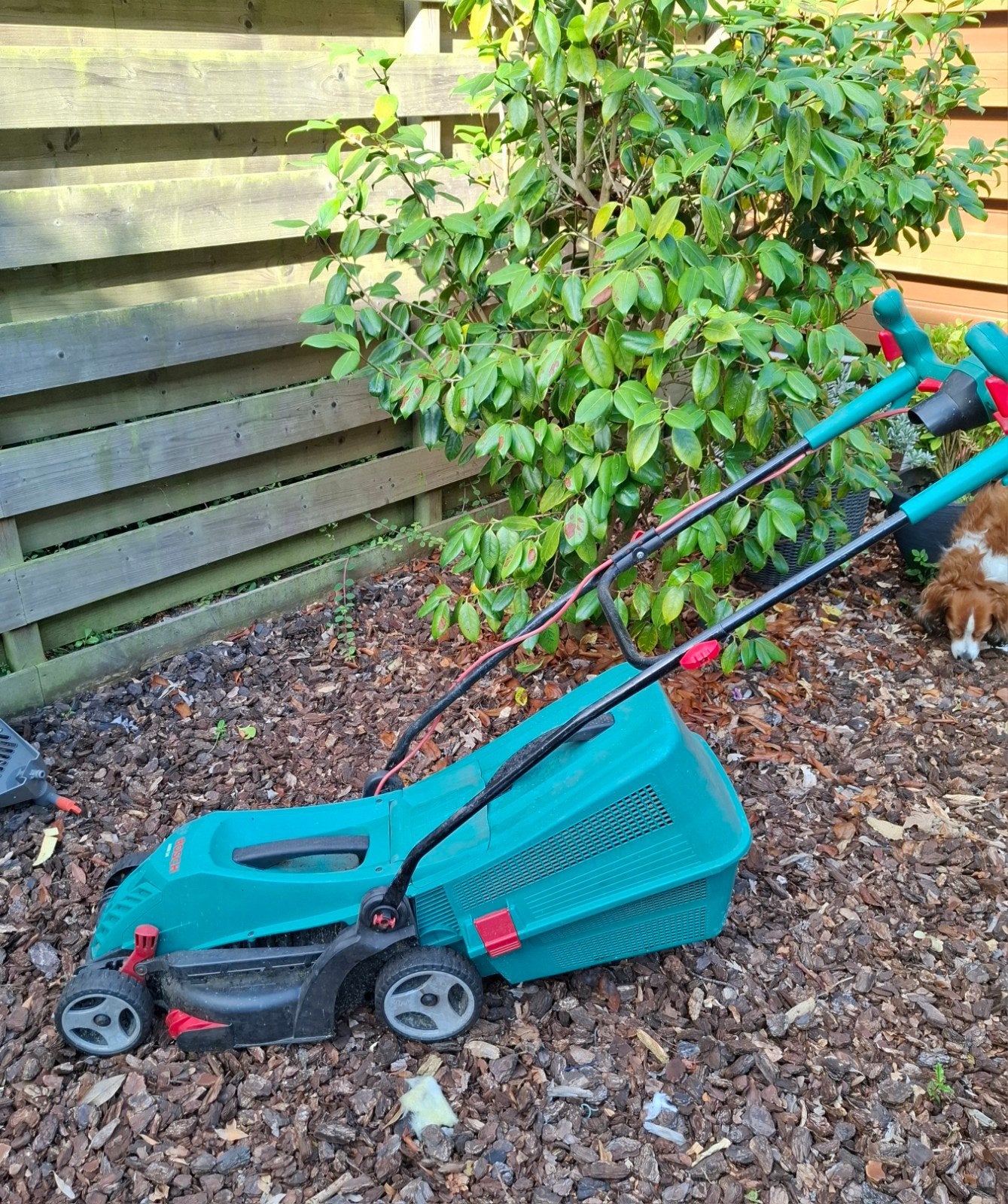 Bosch Arm 34 electrische grasmaaier  / grasmachine, Tuin en Terras, Grasmaaiers, Ophalen, Gebruikt, Elektrische grasmaaier, Opvangbak