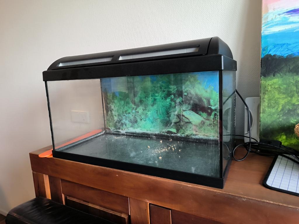 Gratis ophalen vis aquarium ongeveer 30x60cm, Ophalen of Verzenden