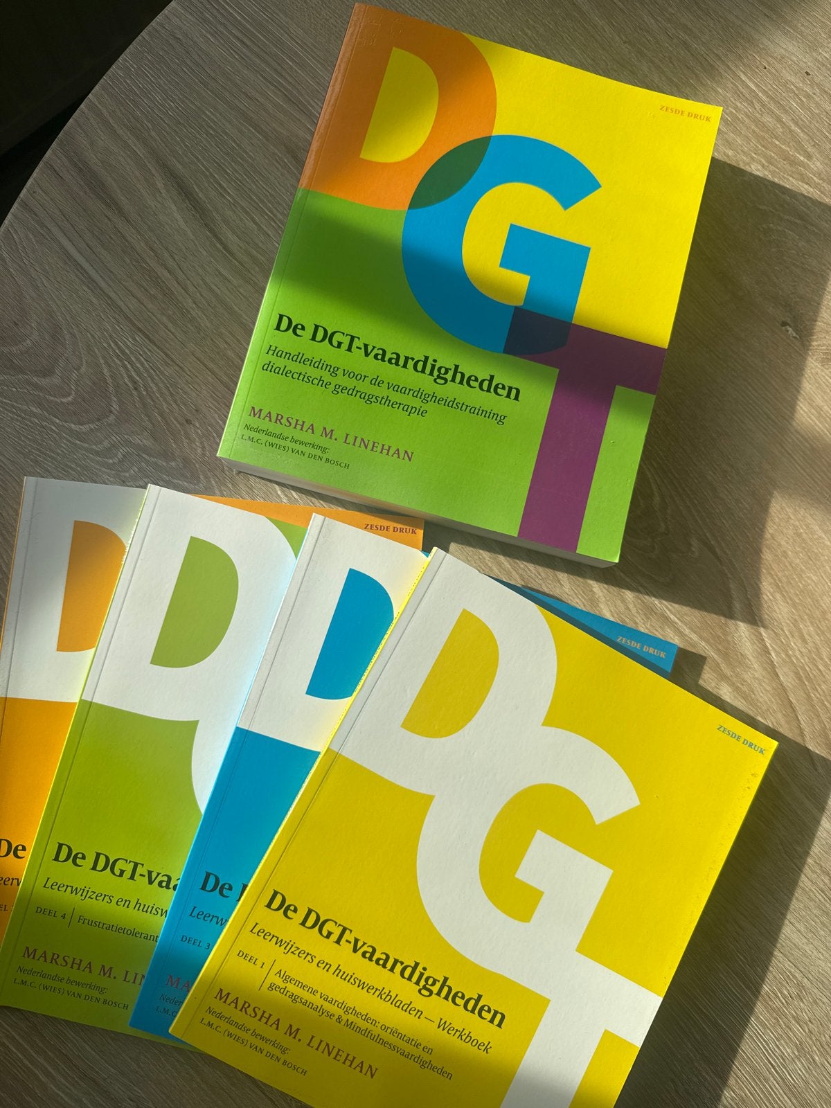 DGT-vaardigheden: Handleiding en Werkboeken (4 delen), Ophalen of Verzenden, Gamma, Nieuw, HBO
